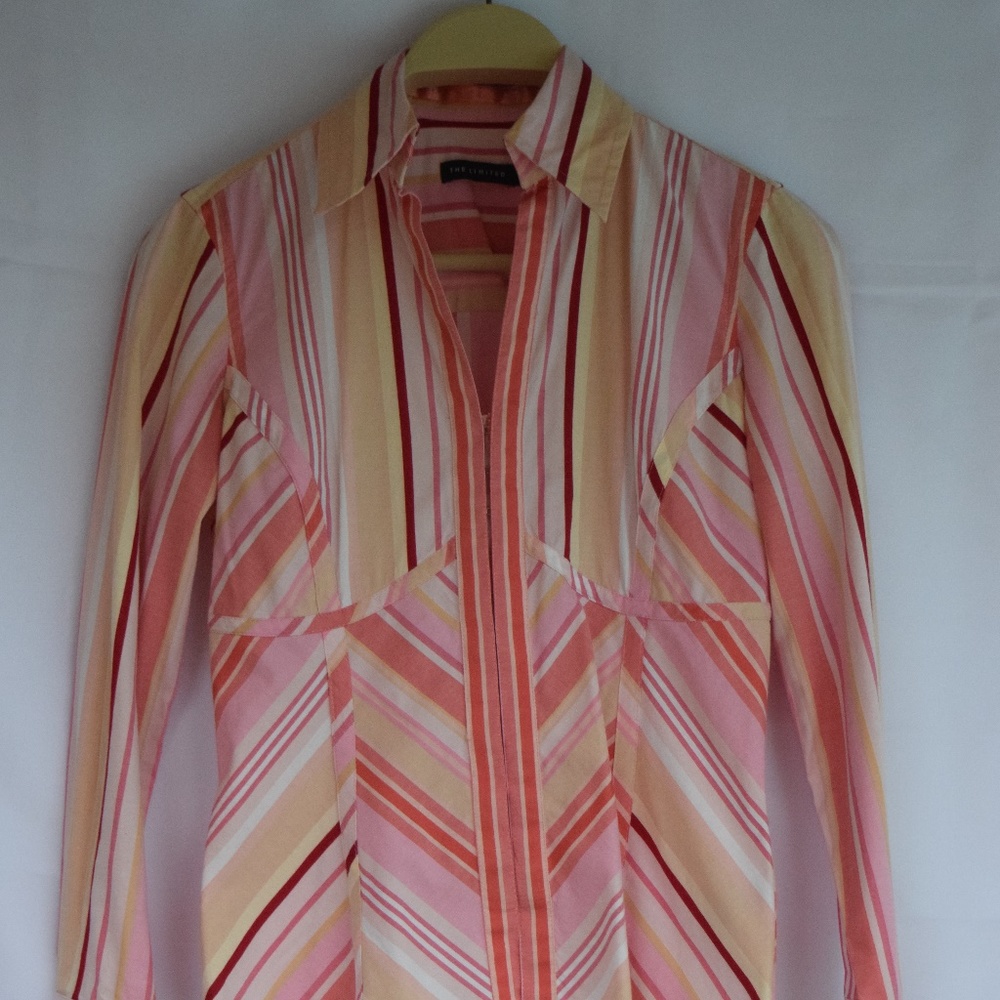 The Limited Stripped Shirt in Pink/White (XS)